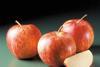 New Zealand apple crop hit by weather