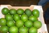 Sunfresh Avocados