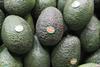 Zeitz_FL2013_Del Monte Avocados