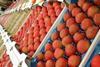 National Fruit Show of confidence