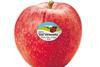 Val Venosta apple