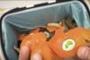 Sinclair Dispose in compost