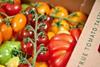 The collaborative project aims to ‘take the guesswork out of tomato production’