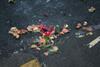 Food waste is a huge industry problem