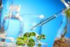 Foto: Brightlands Future of Farming