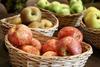 Polen: Apfelexporte leicht rückläufig