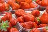 Hoogstraten strawberries