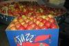 Enza to increase NZ Jazz exports