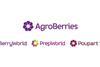 The new AgroBerries logo has adopted BerryWorld's design