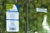 Capespan Indian grapes