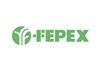 Spanien: Fepex stellt Projekt Fitoscerezo vor
