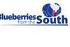 Blueberries from the South logo