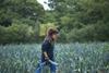 The Soil Association wants the new government to go further