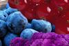 Pigments red blue purple