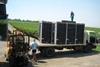 First grapes being transported as part of the new project