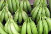 Costa Rica - Bananen