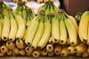 GEN Bananas