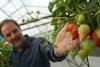 Peter Wensak with the first English strawberries
