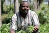 Fairtrade vegetable growers are gearing up to enter the UK market