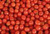 188_job-produktion-gemuese