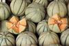 Spanish melons whole and cut Adobe Stock
