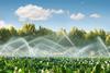 Vegetable farm irrigation