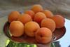 ZA_Apricots