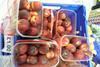 Rotten nectarines