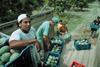 Fairtrade mango-growers