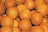 Honduran citrus exports on a roll