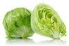 Eisbergsalat-mates AdobeStock_84897056