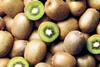 Kiwifruit disease strikes Chilean orchards