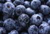 Blueberries Adobe stock