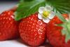 Saisonstart für Erdbeeren