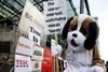 Watchdog: one of the protestors