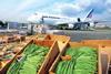 Air France airfreight beans
