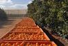 Hapag-Lloyd oranges South Africa
