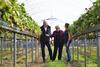 Angela Eagle visits Hugh Lowe Farms. Credit PagePix/NFU.