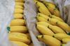 Imported bananas boxed Adobe Stock