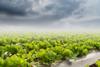 Unwetter im Anmarsch