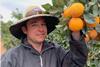 Ben Wilson Gol Gol grower citrus australia landscape