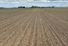 Drought in AH Worth field