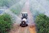 pesticide