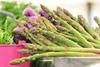 British asparagus campaign scores again