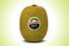 Zespri Green