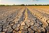 Drought