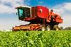 The Holbeach Marsh co-op's general manager says none of its pea growers will make money this year