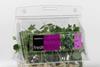 Sainsbury's pea in a leaf