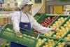 Chep USA pallets fresh produce