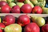 Spanien: Äpfel aus heimischer Produktion gewinnen Marktanteile